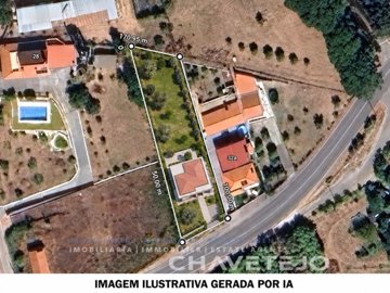 1 - Tomar, Plot