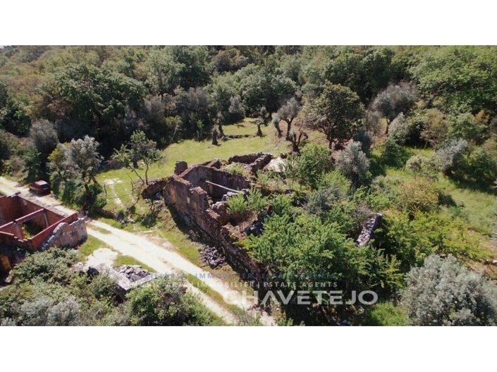 Image No.4-Ferme à vendre à Alvaiázere