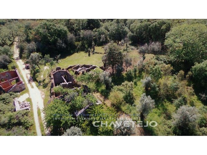 Image No.7-Ferme à vendre à Alvaiázere