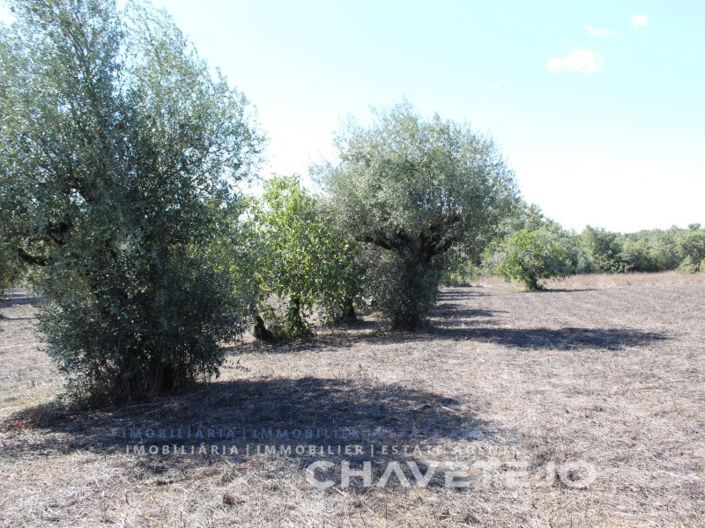 Image No.10-4 Bed House for sale