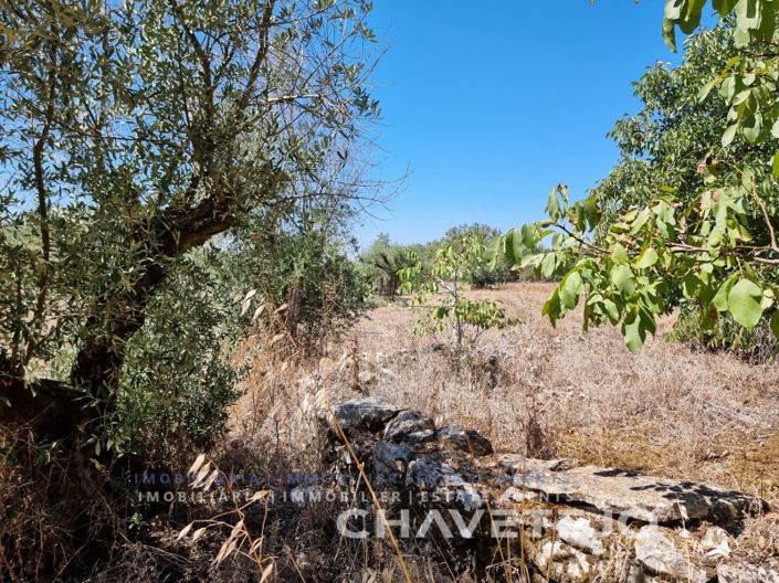 Image No.12-4 Bed House for sale