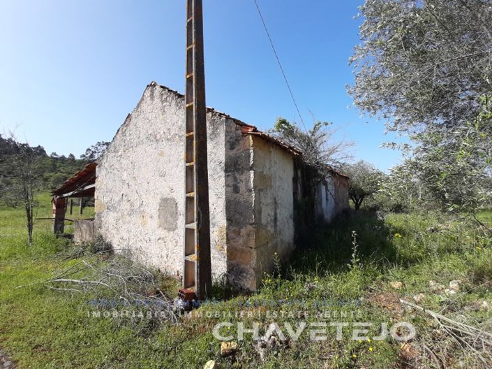 Image No.15-3 Bed House for sale