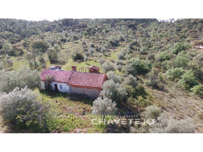 Image No.19-3 Bed House for sale