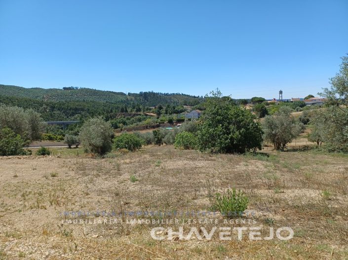 Image No.4-Terrain à vendre à Tomar