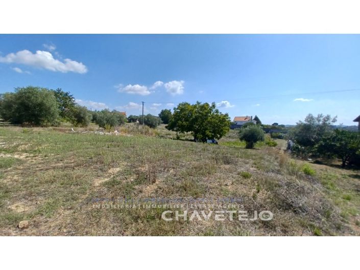 Image No.4-Plot for sale