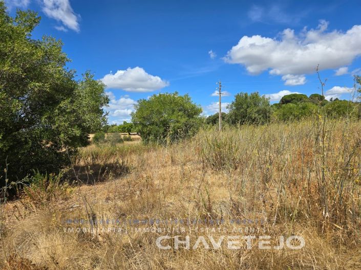 Image No.16-2 Bed House for sale