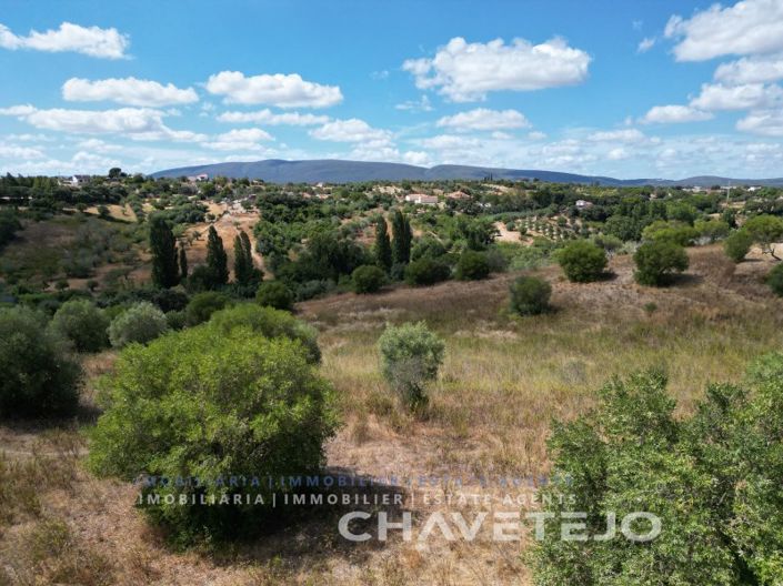 Image No.18-2 Bed House for sale