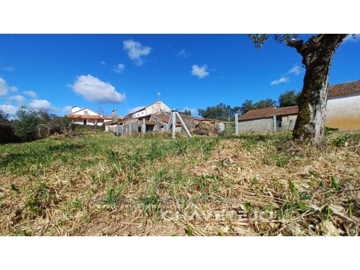 Image No.21-Maison de 3 chambres à vendre à Tomar