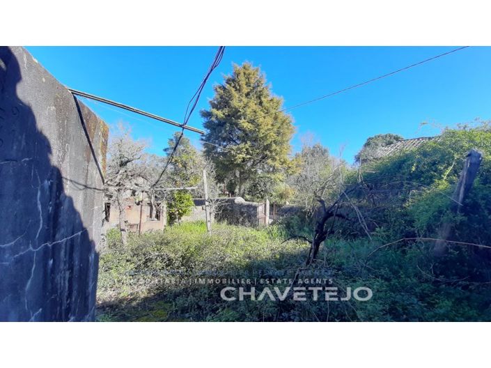 Image No.15-4 Bed House for sale