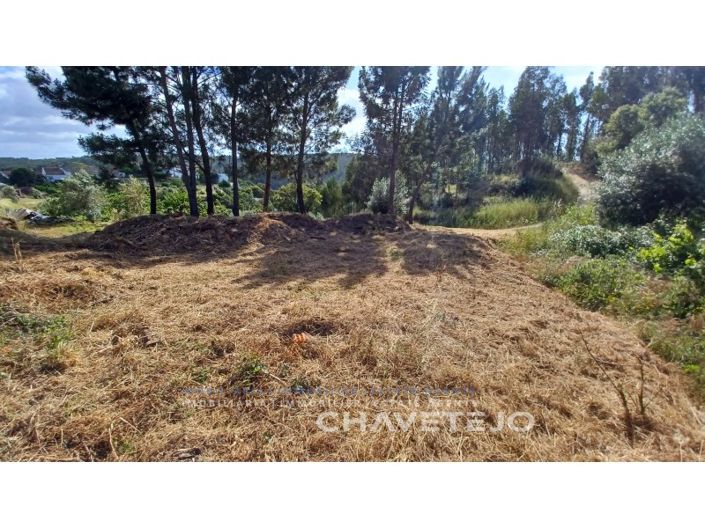 Image No.15-Maison de 2 chambres à vendre à Tomar