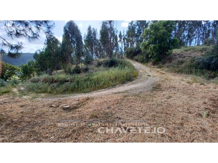 Image No.16-Maison de 2 chambres à vendre à Tomar