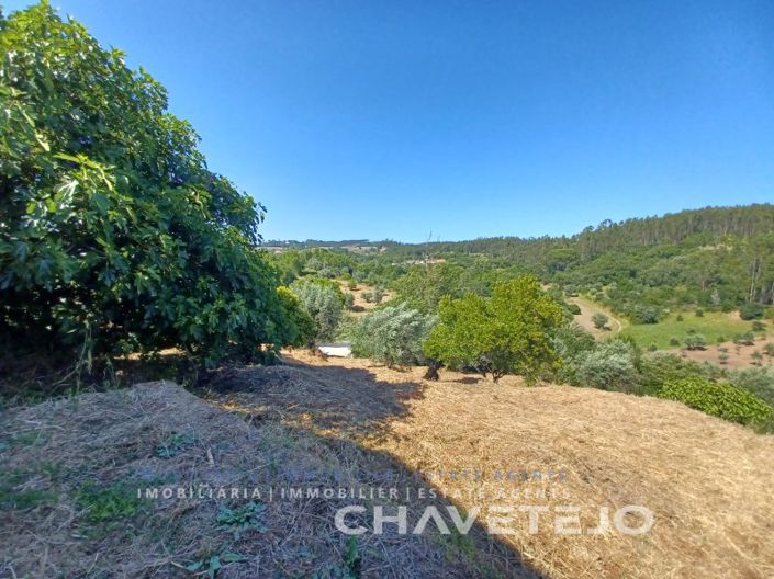 Image No.47-3 Bed House for sale