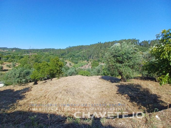 Image No.48-3 Bed House for sale