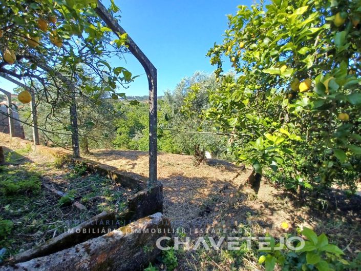 Image No.50-3 Bed House for sale