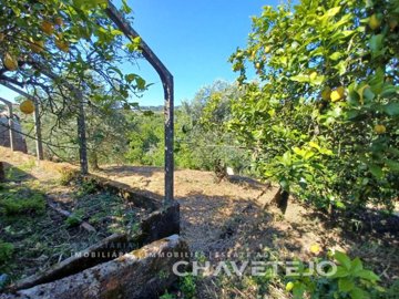 id67a87001-0000-0500-0000-0000132d05a5