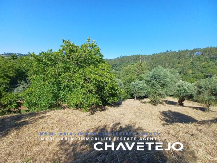 Image No.52-3 Bed House for sale