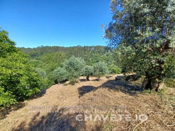 id67a87001-0000-0500-0000-000018c3f226