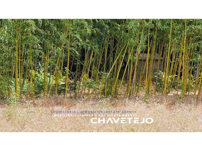 Image No.32-Maison de 5 chambres à vendre à Alvaiázere