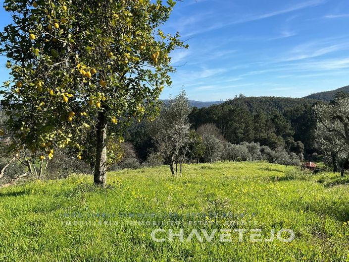 Image No.9-2 Bed House for sale