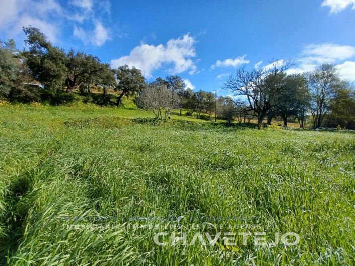 Image No.2-Plot for sale