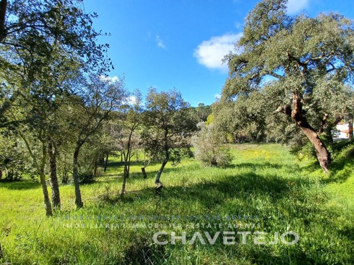 Image No.4-Plot for sale