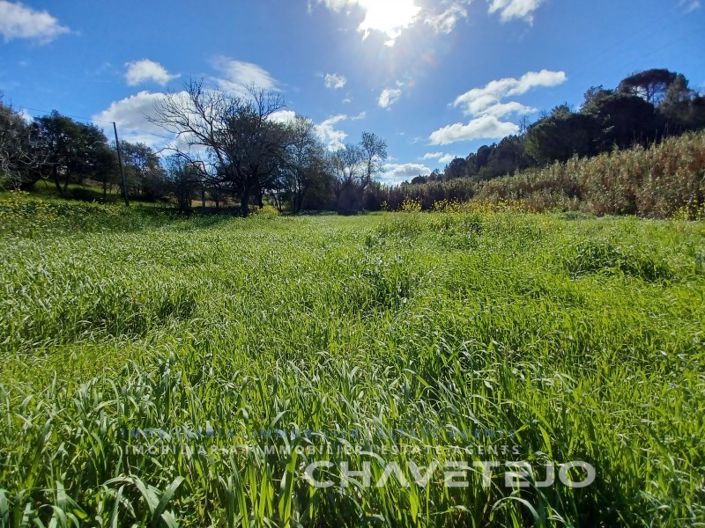 Image No.5-Plot for sale