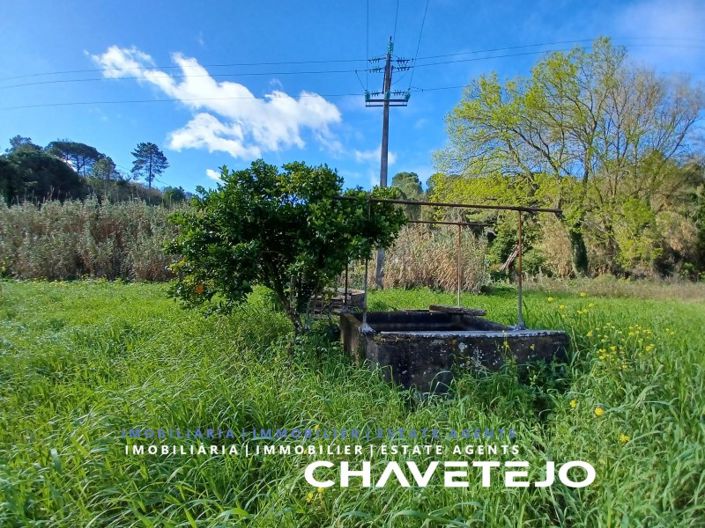 Image No.6-Plot for sale