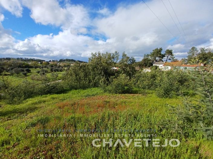 Image No.13-Plot for sale