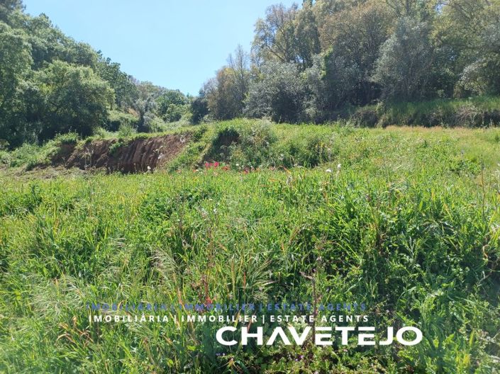 Image No.8-Plot for sale