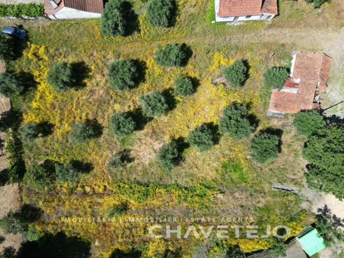 Image No.5-Plot for sale