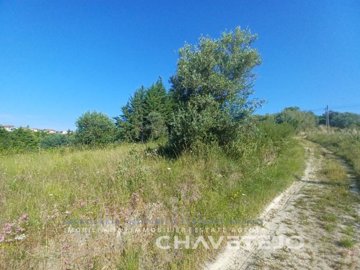 idfd267e01-0000-0500-0000-000013414d86