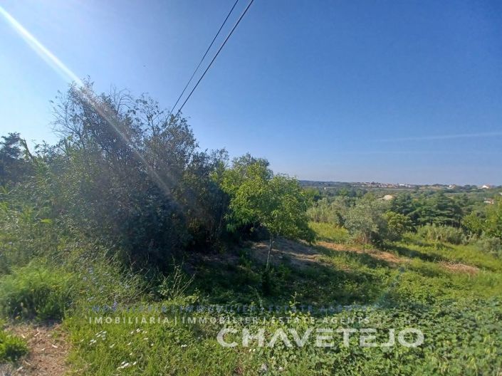 Image No.4-Plot for sale