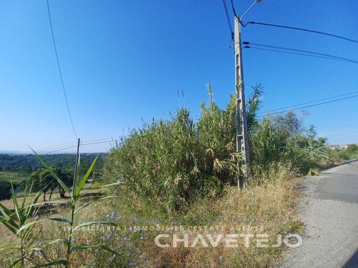 Image No.5-Plot for sale