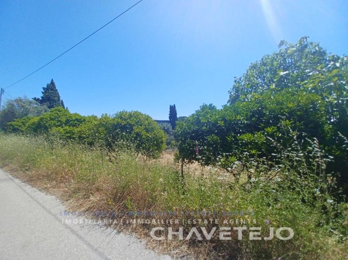 Image No.7-Plot for sale