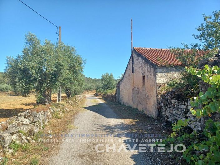 Image No.3-Maison de 2 chambres à vendre à Ferreira do Zêzere