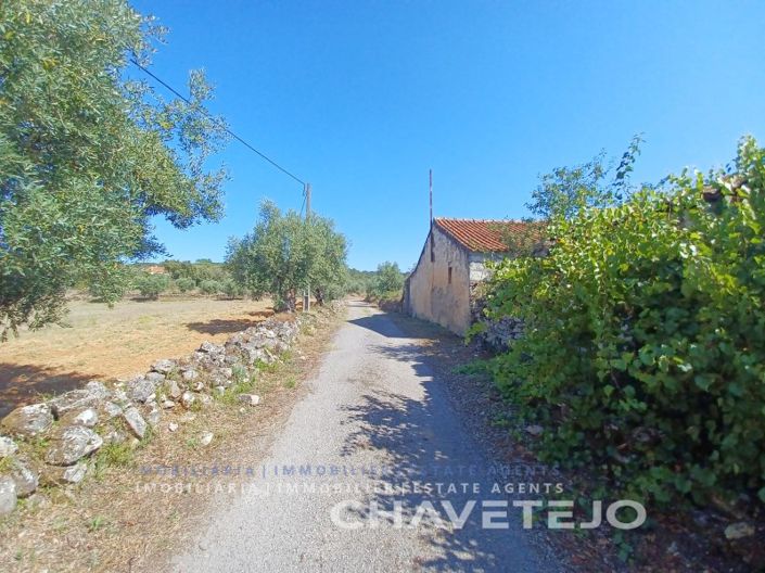Image No.4-Maison de 2 chambres à vendre à Ferreira do Zêzere