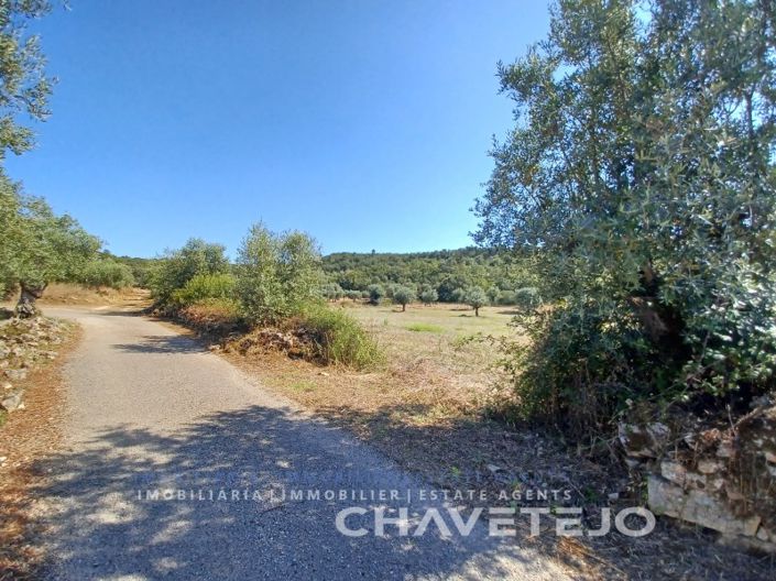 Image No.7-Maison de 2 chambres à vendre à Ferreira do Zêzere