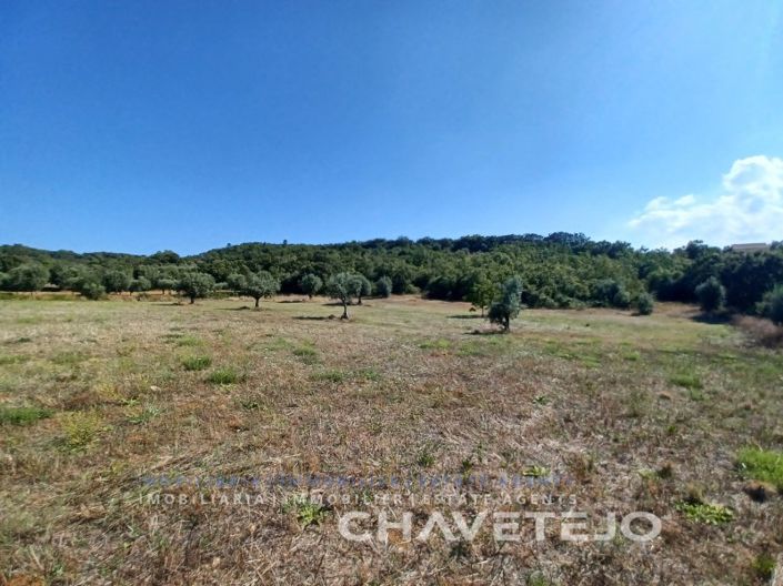 Image No.9-Maison de 2 chambres à vendre à Ferreira do Zêzere