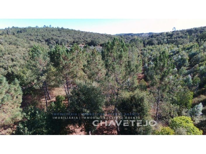 Image No.33-2 Bed Farmhouse for sale