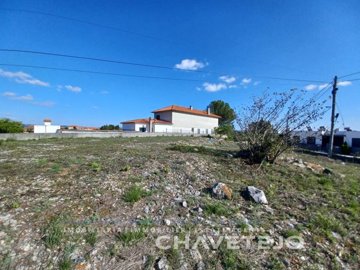 1 - Tomar, Plot
