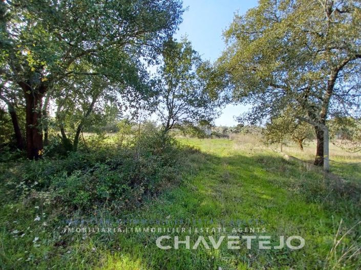 Image No.10-Plot for sale