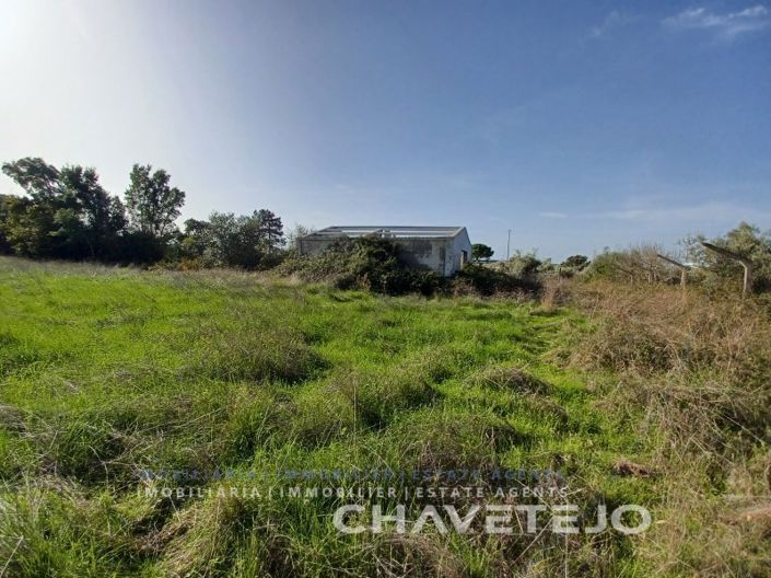 Image No.11-Plot for sale