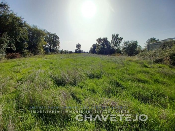 Image No.12-Plot for sale