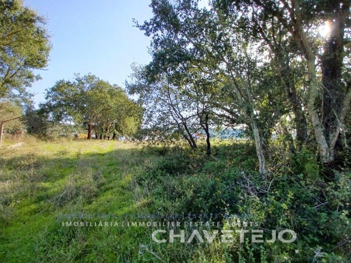 Image No.14-Plot for sale