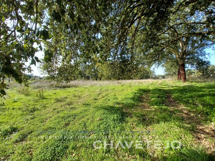 Image No.15-Plot for sale