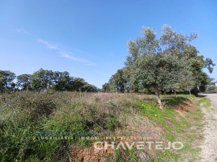 Image No.4-Plot for sale