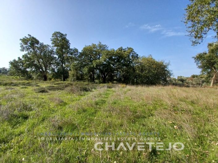 Image No.5-Plot for sale