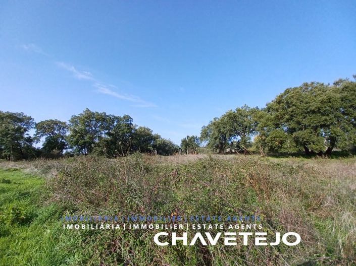 Image No.6-Plot for sale