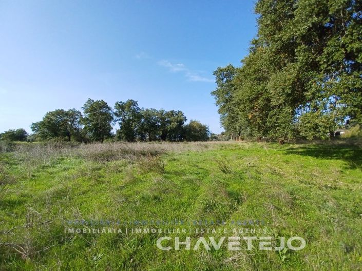 Image No.7-Plot for sale