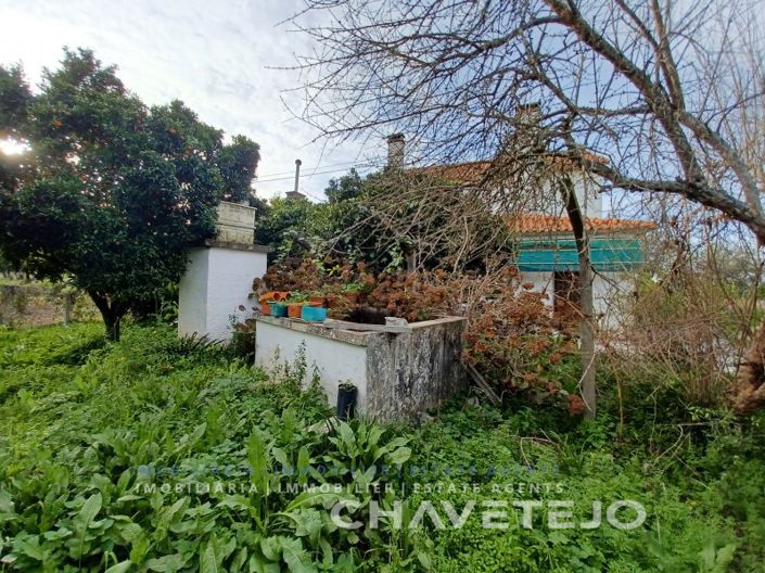 Image No.14-Maison de 3 chambres à vendre à Tomar